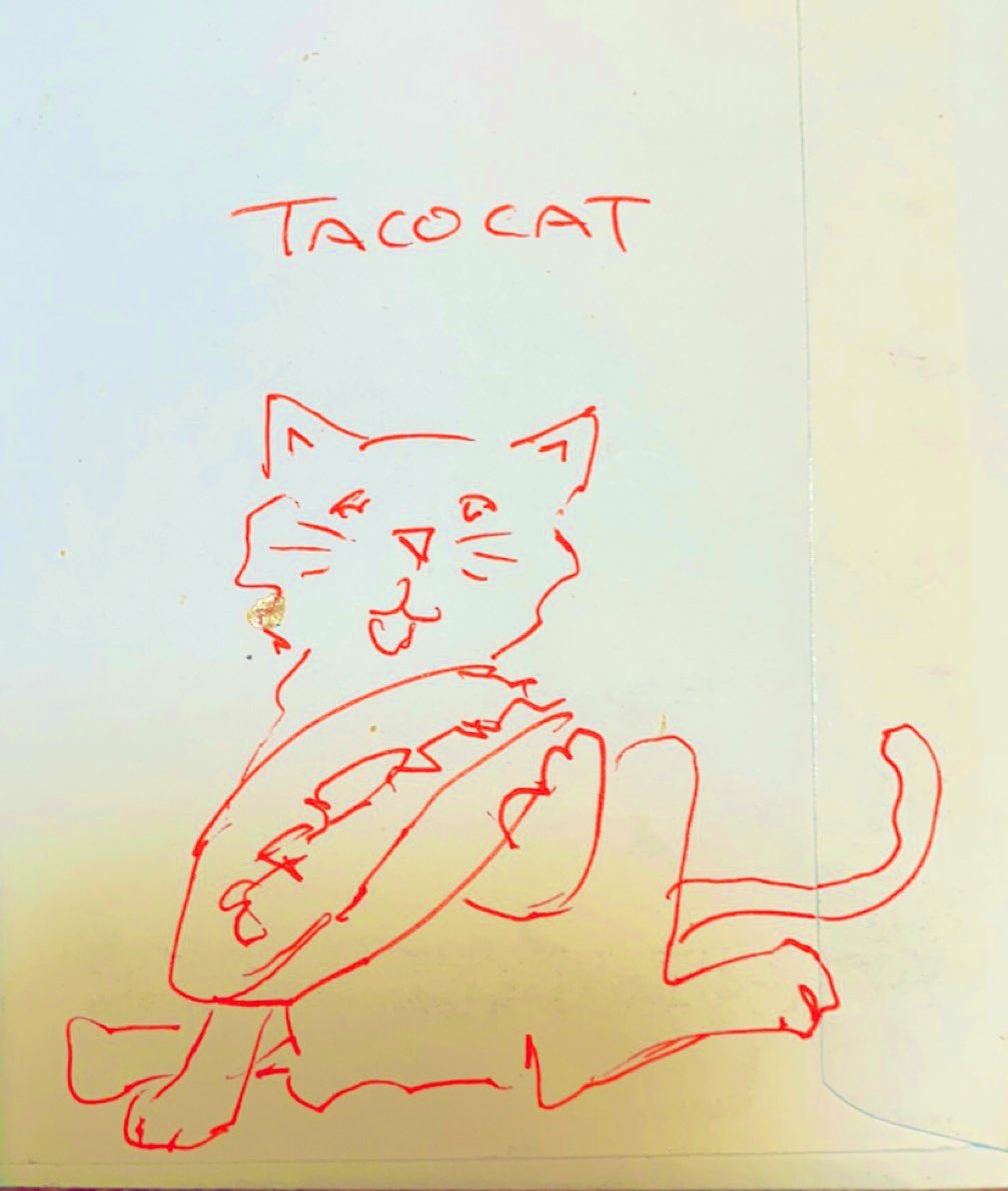 Did you know Taco Cat spelled backwards is still Taco Cat. You’re welcome 😁