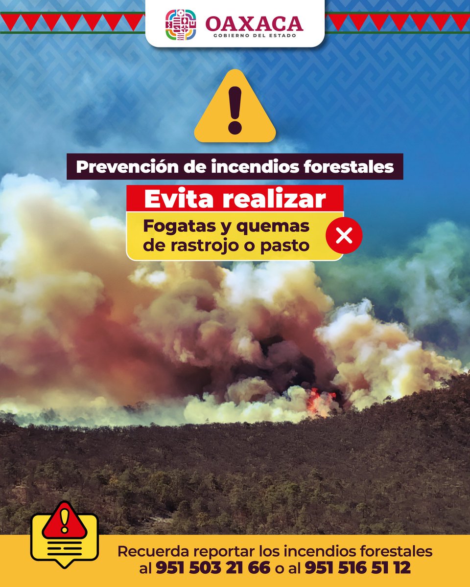 Los incendios forestales pueden prevenirse, ¡cuidemos nuestros bosques! Si ves una columna de humo, repórtala al 951 503 21 66 o 951 516 51 12.