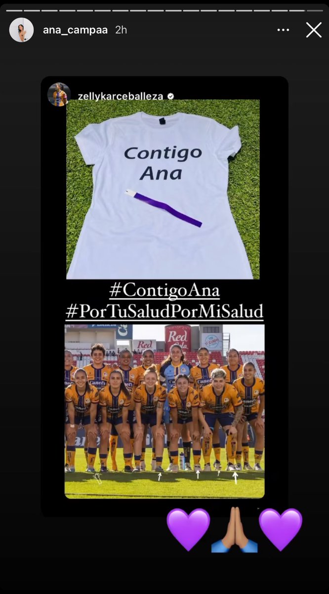 Corrijo el tuit anterior, además de las jugadoras antes mencionadas también lo hizo el equipo completo de #Puebla #Pumas y algunas jugadoras de Atlético de San Luis. Al portar un listón morado y playera con la leyenda #ContigoAna