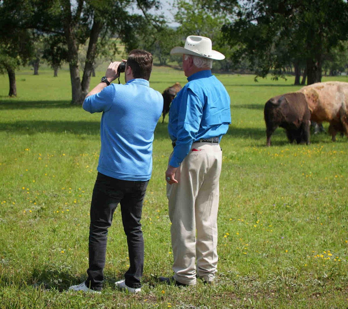 Commissioner Miller joined Carl Chambers at the Wagon Springs Ranch to see the newest addition to his buffalo herd, a rare white buffalo. To American Indians, a White Buffalo Calf is the most sacred living thing on earth #TexasAgricultureMatters