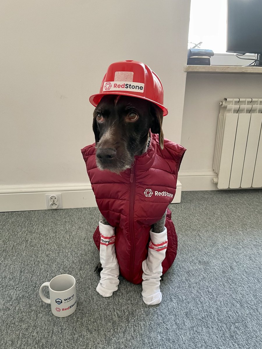 redstone_defi's tweet photo. The smallest, yet the bravest RedStone Miner ♦️ https://t.co/dsaWoY5lRJ