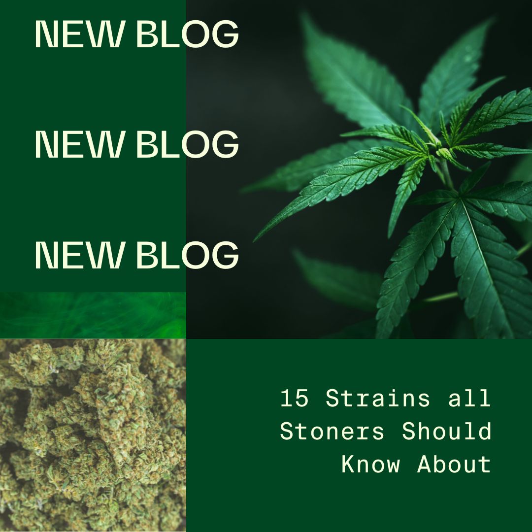 IYKYK - click here: l8r.it/aAK8

#newblog #cannabisblog