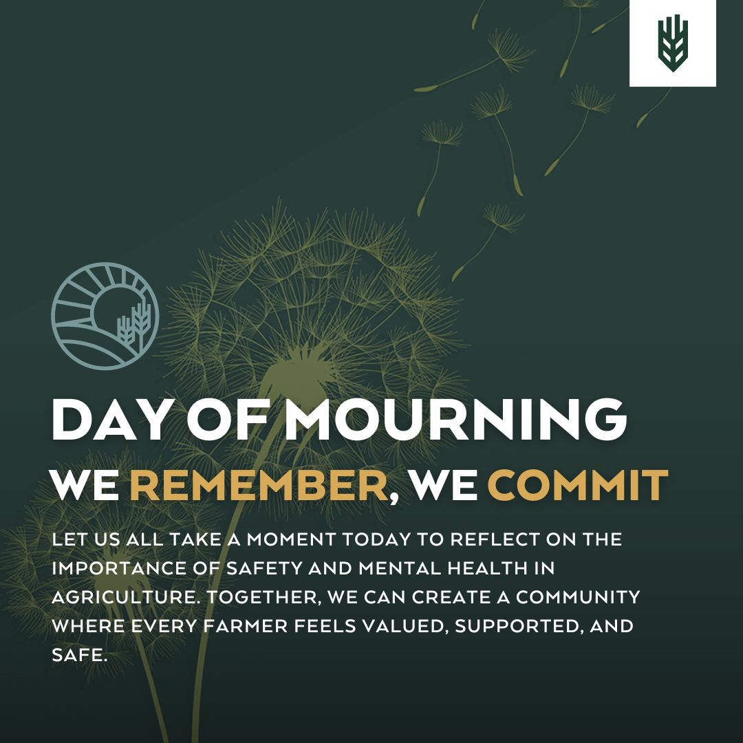 Farming is not only physically demanding; it also carries a heavy emotional toll. AgKnow is dedicated to supporting the mental well-being of our farmers, ensuring they have the resources and support needed to thrive in every aspect of life. #DayOfMourning #FarmMentalHealth