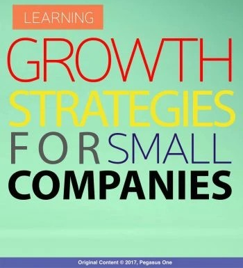 The IT industry’s booms and busts make growth an essential part of creating value. In our whitepaper, Growth Strategies for #SoftwareCompanies, we outline five important growth strategies that every small business should consider.
ow.ly/Zawa50Rqkk5