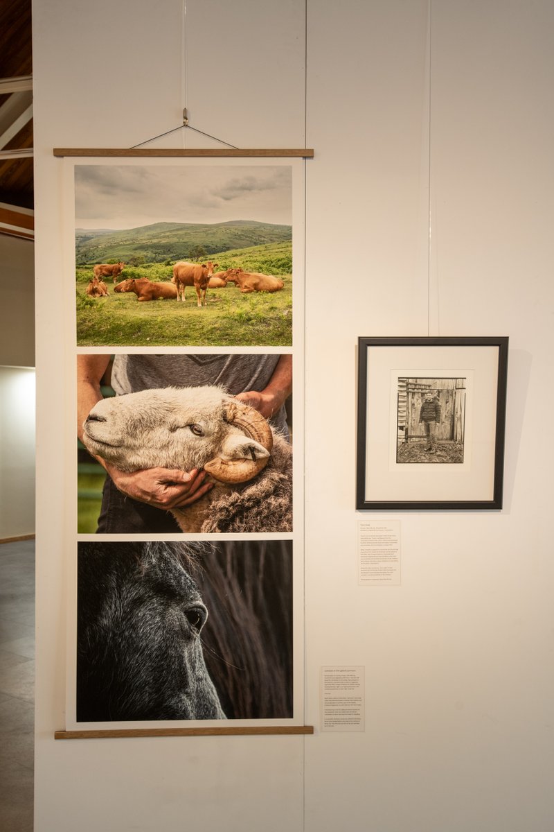 A few photos from the beautiful, 'Labour of Love' exhibition at @DalesMuseum loom.ly/g4s3k7o