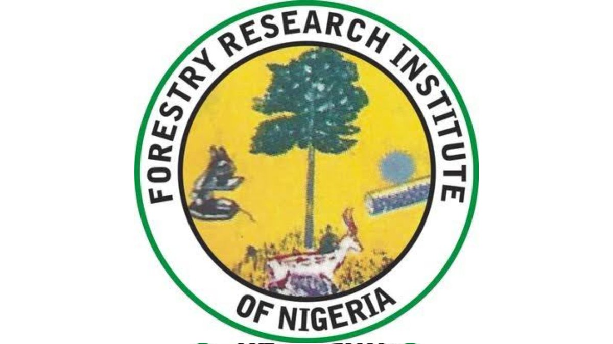 Civil Society, ENetSuD Drags Nigerian Institute FRIN To EFCC Over Alleged N52million Road Project | Sahara Reporters bit.ly/4byO68H