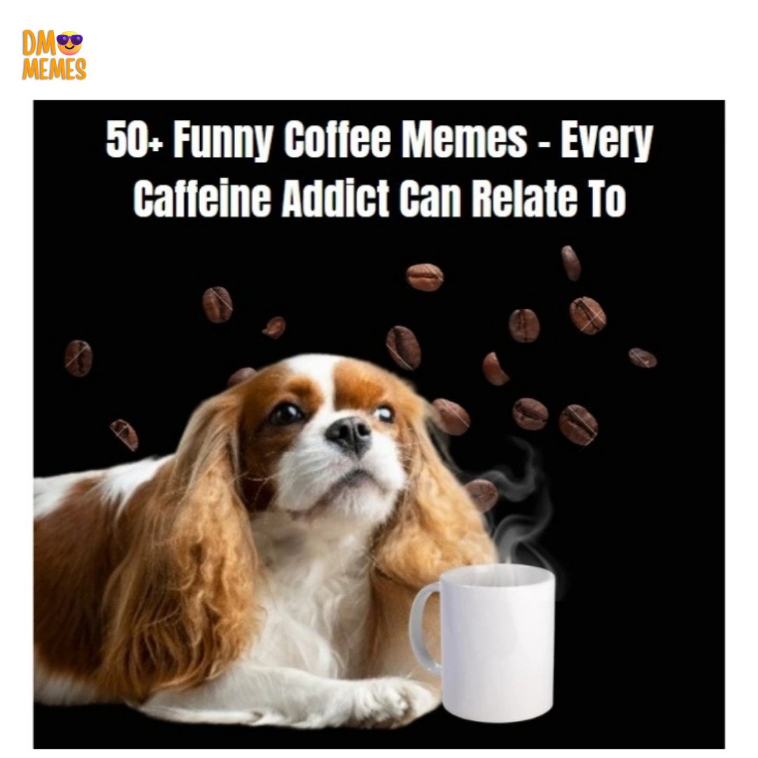 Get ready to spill your coffee laughing! ☕😂 Check out our collection of 50+ hilarious coffee memes and tag your caffeine-loving friends! 

Click the link in Bio. 

#digitalmarketingmemes #coffeeHumor #CoffeeMemeMania #memes #funnycoffeememes #SpreadTheLaughs #SipAndChuckle