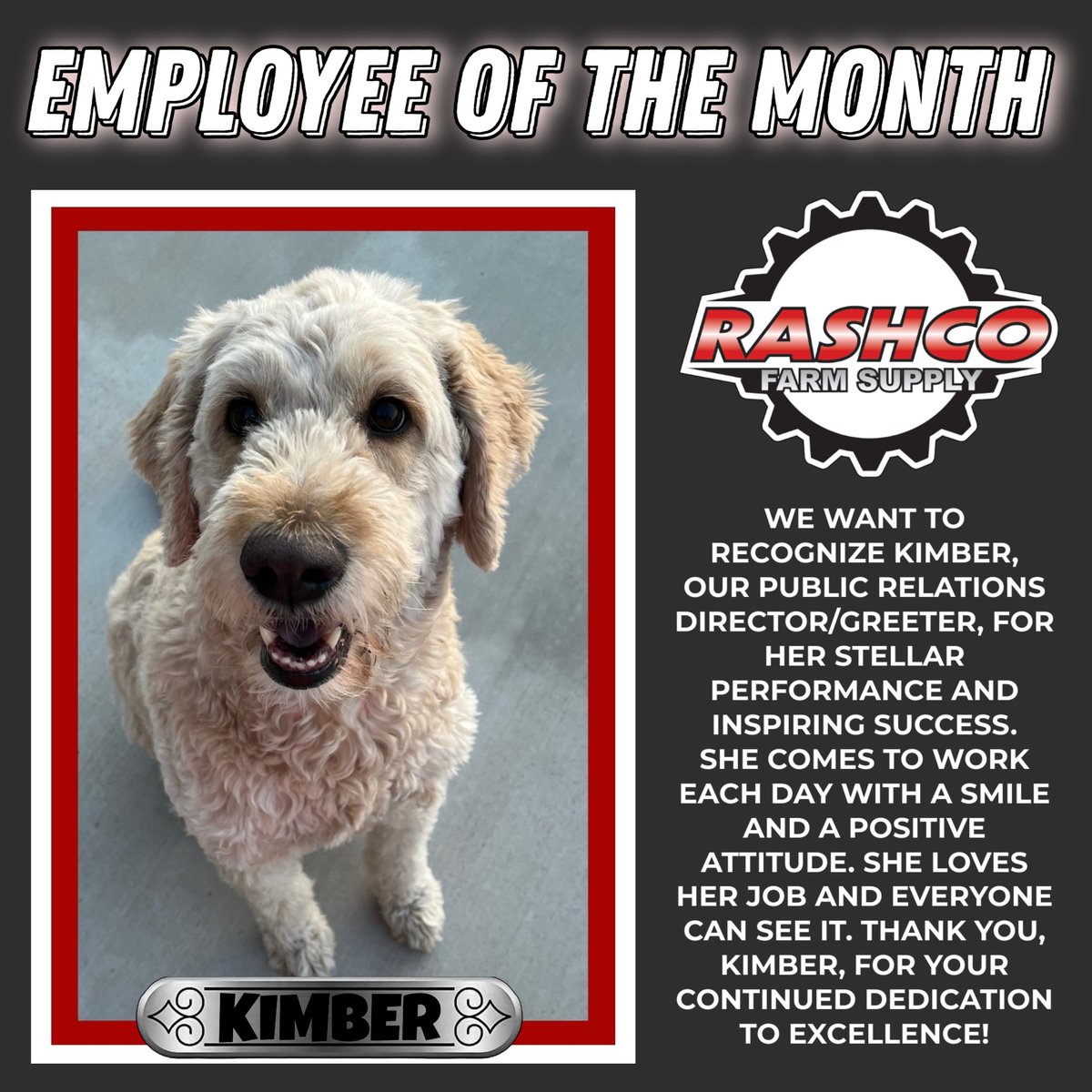 Haha 😂

#Kimber #kimberdoodle #KimberBear #dogsofinsta #petsofinstagram #petstagram #petlovers #doodles #RashcoFarmSupply #DoodlesOfRashco #dogsoffacebook #dogsofinstagram #PetDay #rashcofarmsupply #employeespotlight #EmployeeoftheMonth #employeeappreciation #Silly