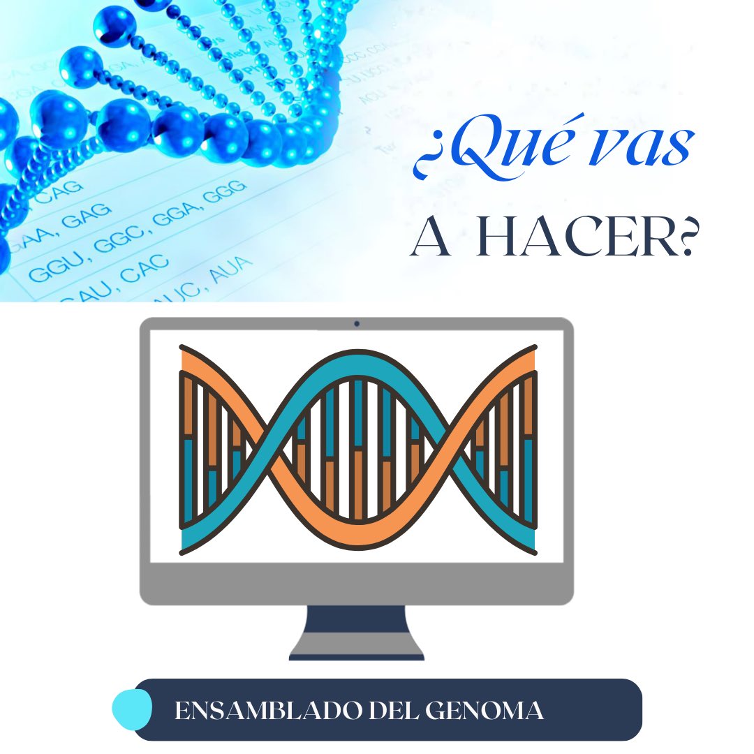 ¿Qué vas a hacer en la capacitación “Secuenciación de Genomas Completos usando ONT? ¡Desliza para ver!

Para más información, visita nuestra página web: t.ly/W2Cha
