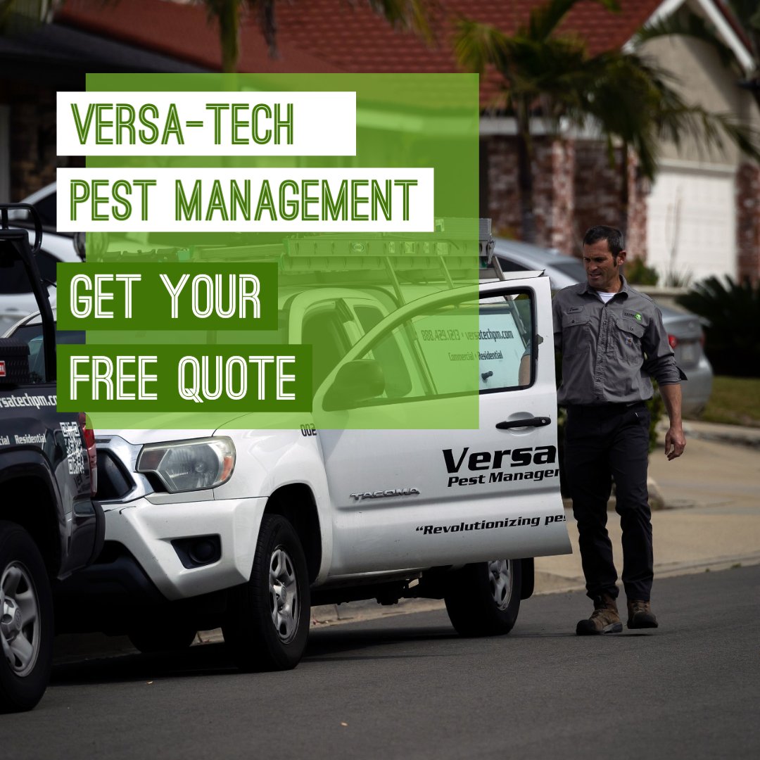 Are you looking for the absolute best #pest & #rodentcontrol in San Dimas, Los Angeles County or surrounding? Versa-Tech® is here for you with personalized, guaranteed pest removal solutions you can count on. Get your free quote & protect what matters most! #VersaTech #ratcontrol
