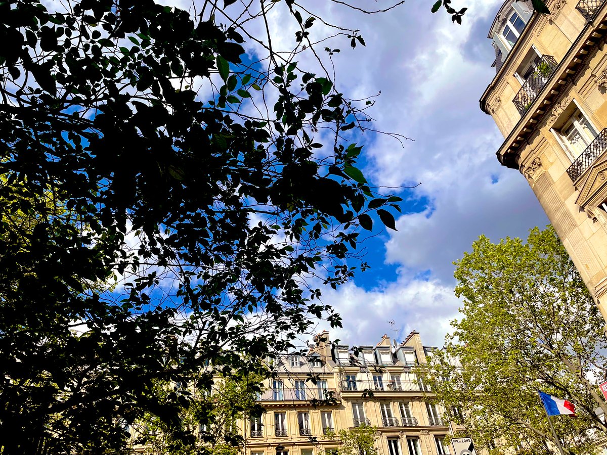 Quelle belle journée 😊
Le soleil est de retour ☀️😎
#parissouslesoleil #paris #visitparis #francemagique #streetphotography #soleil