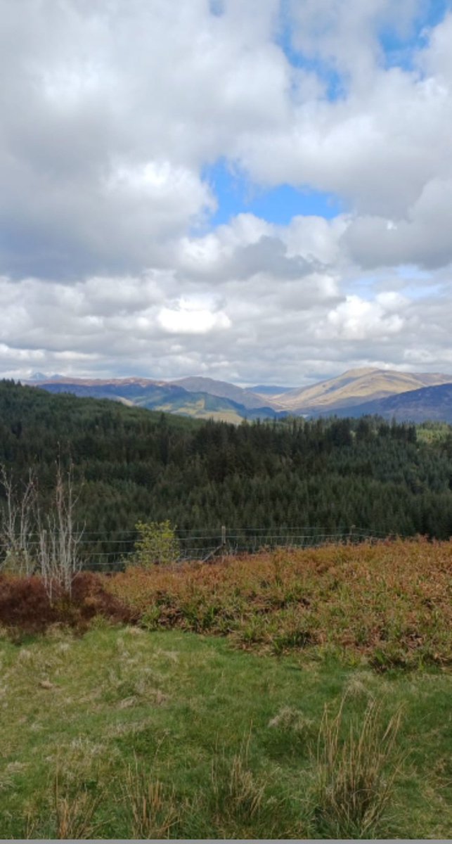 Great to see 6 of our new staff volunteers complete Local Accreditation Training with @ActiveSchoolStg at the weekend. Hands-on learning and some cracking views. 👌 #goingtheextramile #tents # trangias #maps #IamDofe @WHS_SSOS @WHS_Citizenship @WHS_SocSubjects @WHS_Eng