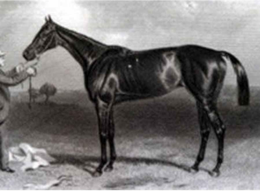 Achievement was a full-Sister to 1866 Triple Crown winner Lord Lyon. Trained at East Ilsley by James Dover, he always considered the filly superior to her elder brother. Achievement won the 1867 1000 Guineas, Coronation Stakes, Great Yorkshire Stakes, St Leger and Doncaster Cup.