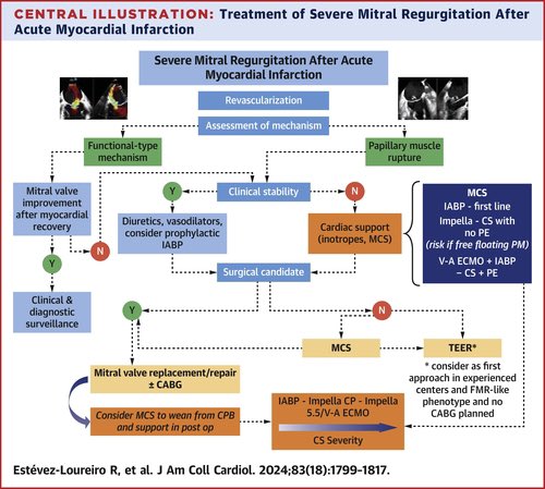 🔴 Management of Severe Mitral Regurgitation in Patients With Acute Myocardial Infarction: 2/5 @JACCJournals #CardioEd #Cardiology #cardiotwitter