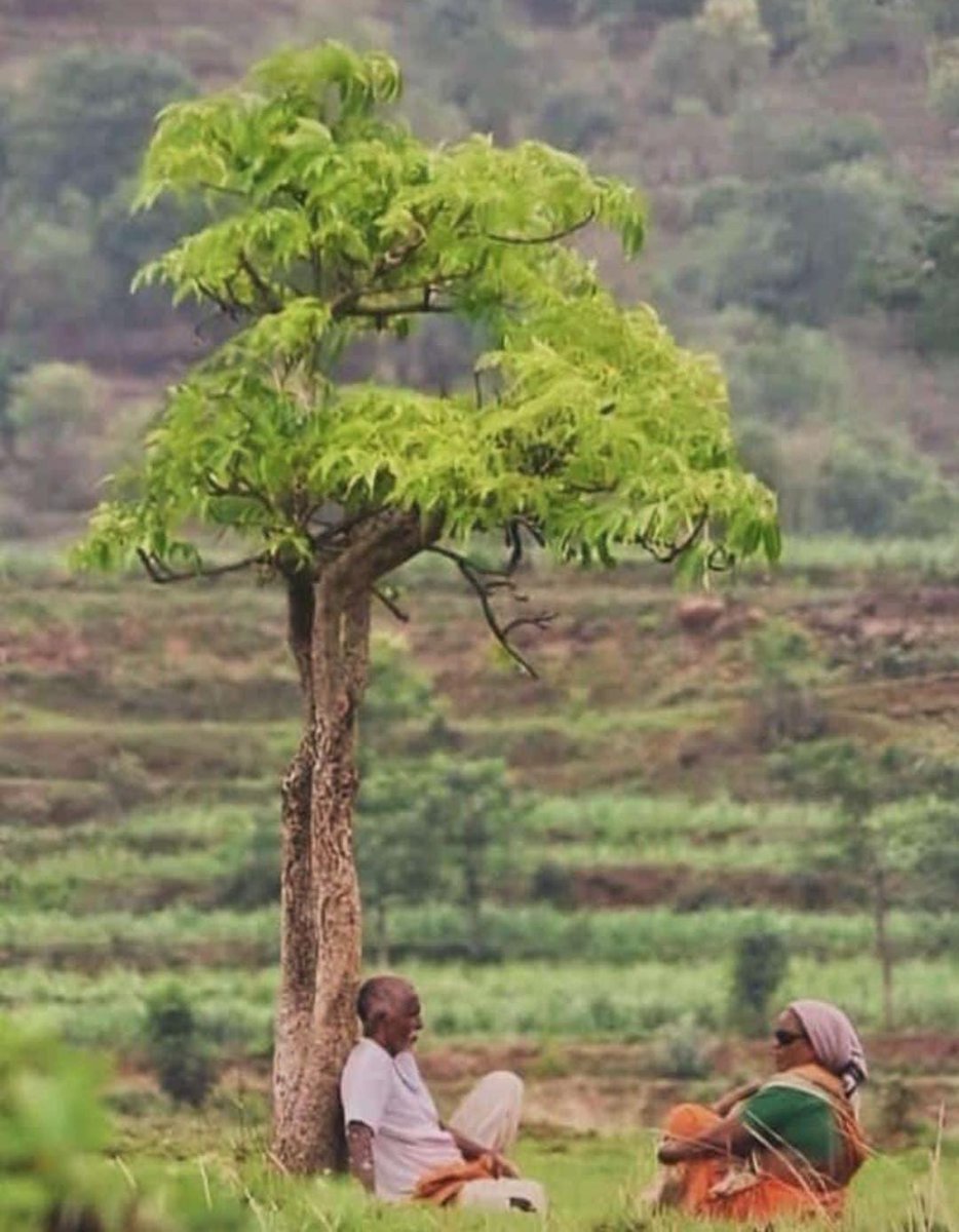 Sarah David tweet media