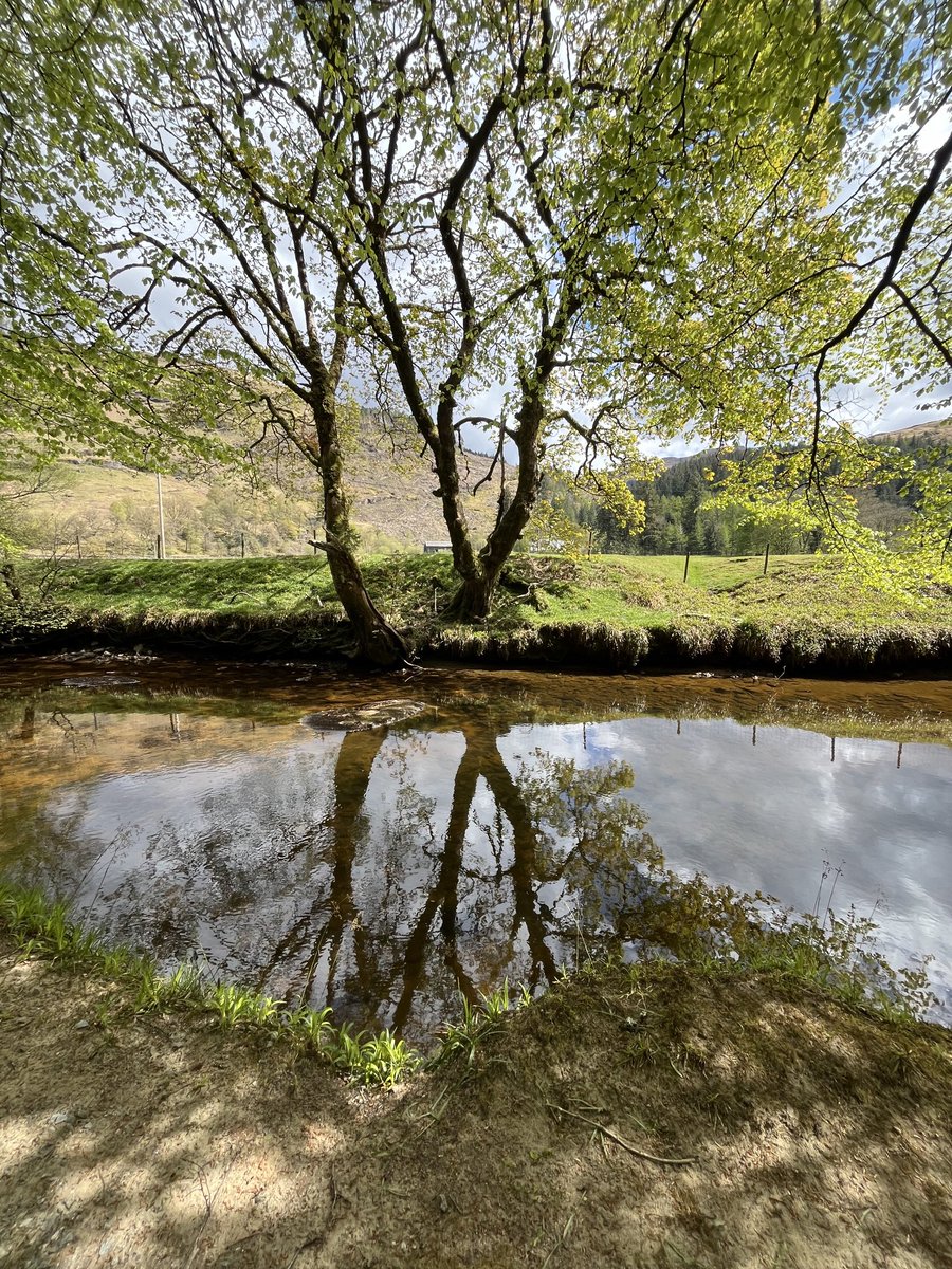 anniescottarch's tweet image. Reflections at #Lochgoilhead