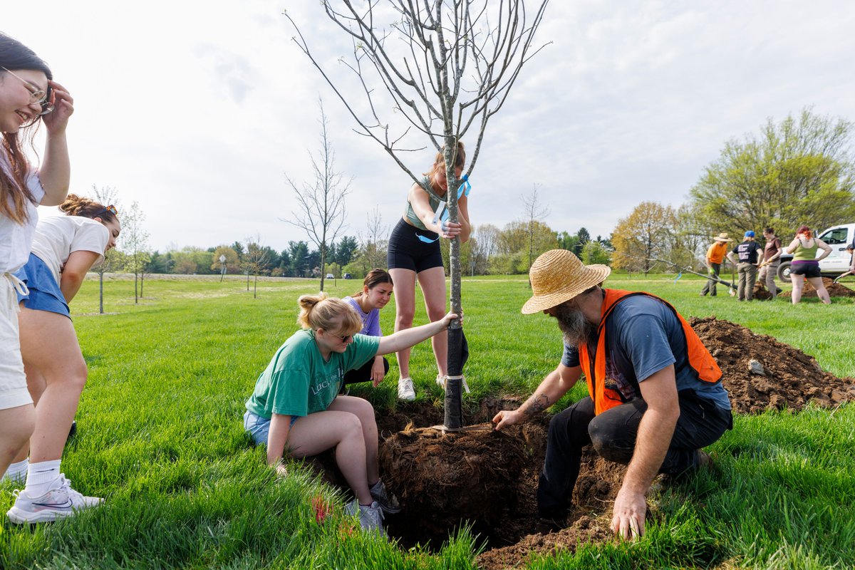 UKYHonors's tweet photo. Students helped beautify the Alumni Drive traffic island by planting 10 native trees with 2023 Great Teacher Dr. Kenton Sena. This project was funded by grants from @lgeku &amp; the Student Sustainability Council.
#ukyhonors #purposeintellectintegrity #treeplanting #springisintheair https://t.co/thqF4yE3DK