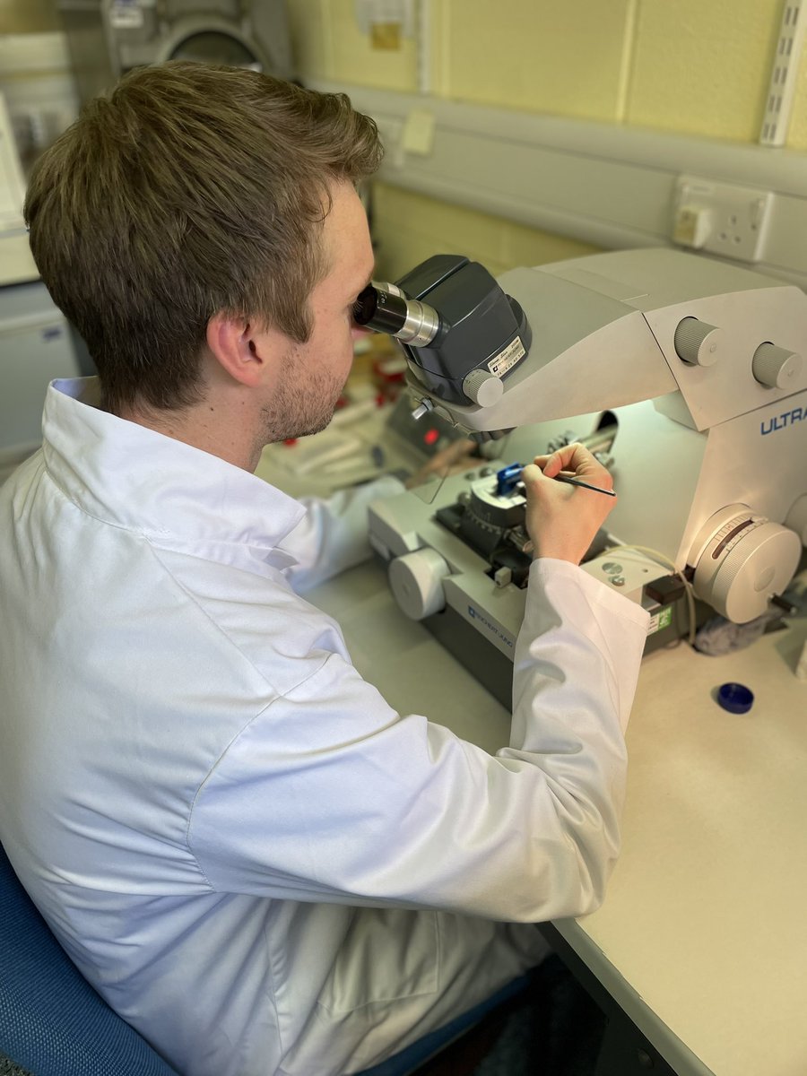 Veronica Bamford-Deane tweet media