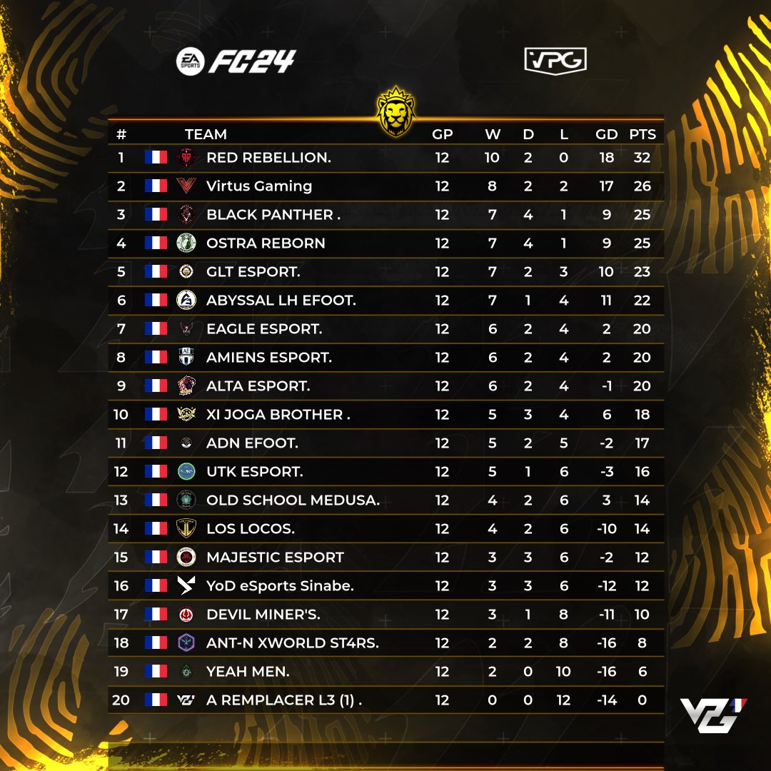 VPG France tweet media