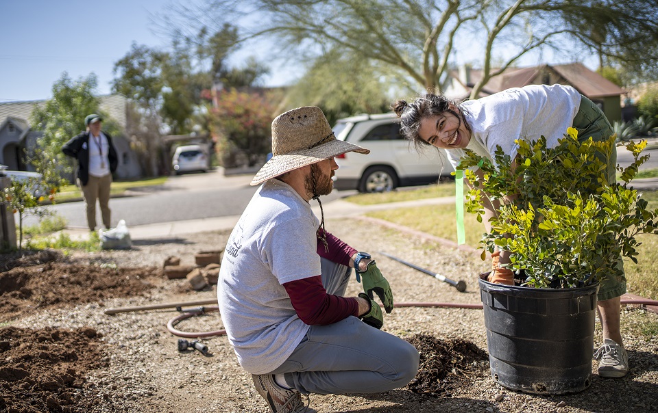 We're developing a new Tree and Shade Plan! Help us shape the future of trees and shade in Phoenix. Share your feedback with us by taking our community feedback questionnaire today. bit.ly/3Tx0Vdc