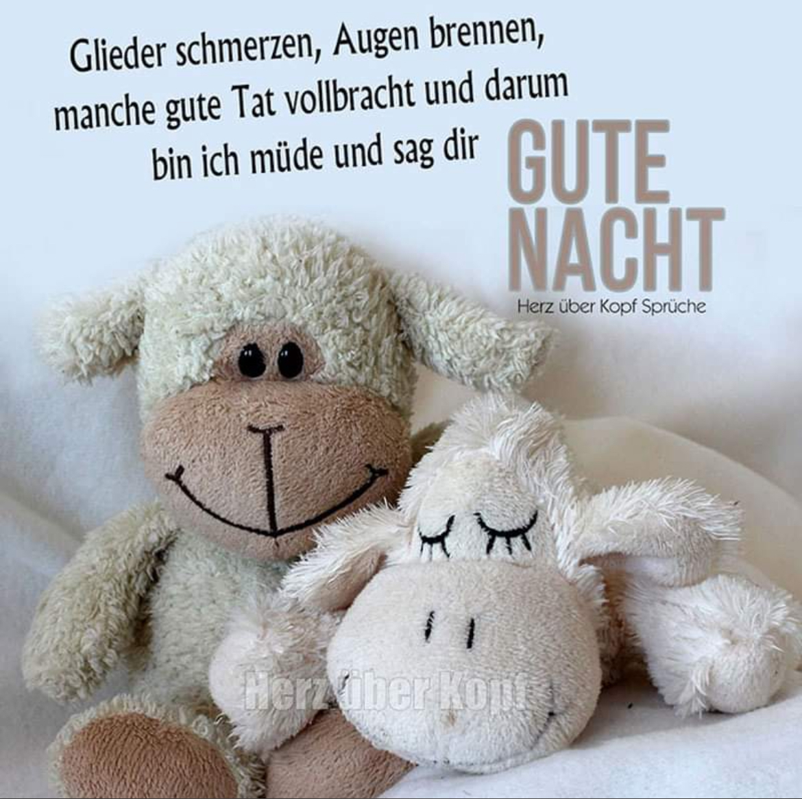 Gute Nacht und schöne Träume 🌙💤😴😘