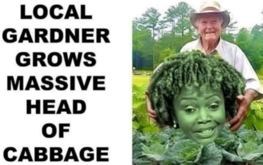 Ol Cabbage Head goin LIVE 💩💩
    Dailey WH Brief

youtube.com/watch?v=O_VbN_…