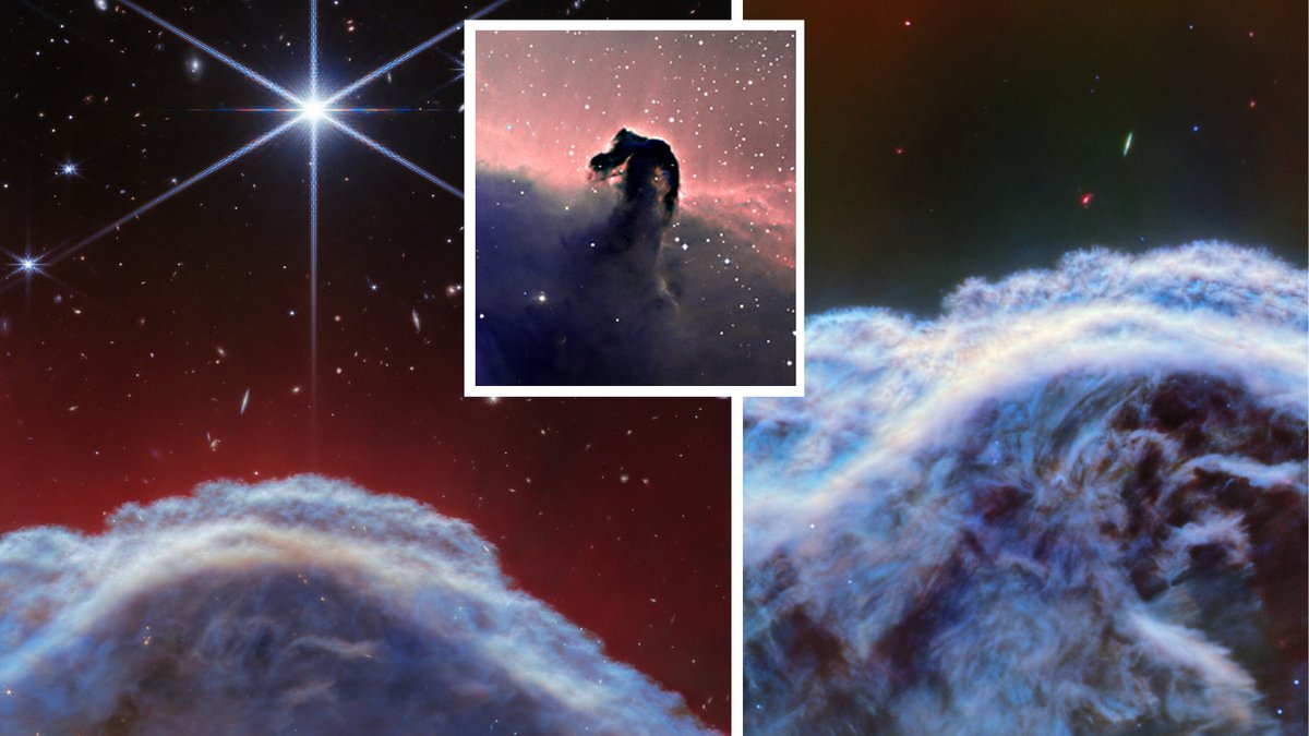 #JamesWebbSpaceTelescope Horsehead Nebula rears its head in gorgeous new James Webb Space Telescope images (video) space.com/james-webb-spa…