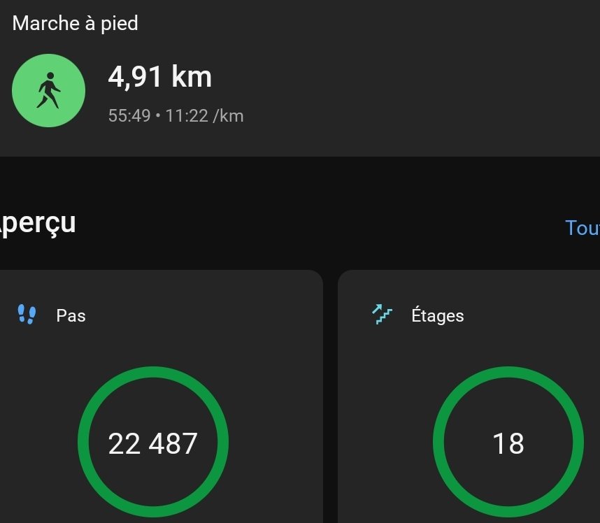 Mes pas et activités du jour 💫 @Lucy51602801 @yoelegicorrer1 #YoElegiCorrer #garmin #fenix7xSolar #sportludo @garminfrance @garmin #maigrir #sport #instafitness #athlete #marche #marcheur #courreur