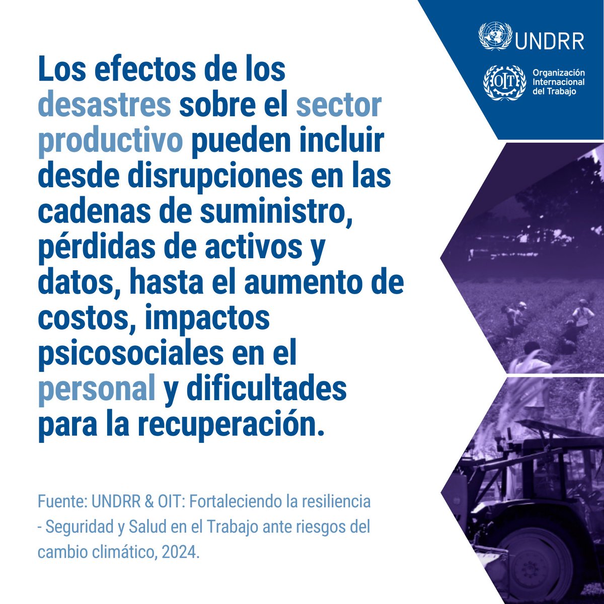 🌎🌿El #CambioClimático tiene graves repercusiones en la seguridad y la salud de los trabajadores. Acceda a la ficha técnica desarrollada por @UNDRR_Americas y @OITAndina. 📚Fortaleciendo la resiliencia: la #SST ante riesgos del cambio climático 📚ow.ly/3OFa50RqVig