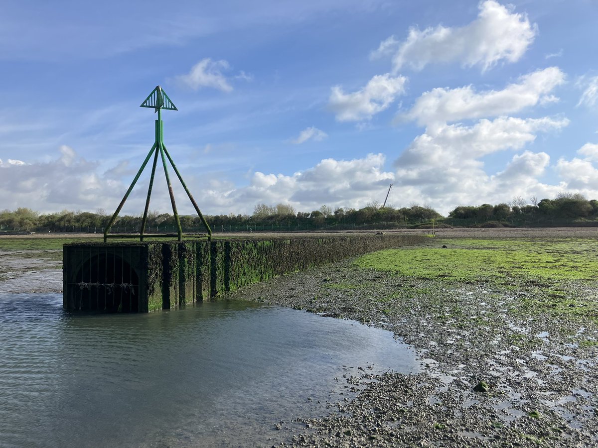 Prof Alex Ford tweet media