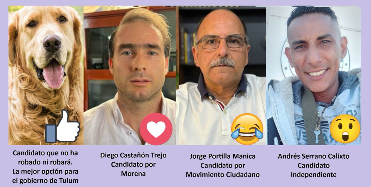 🔰#MemeDelDía   El ambiente político que se vive en el Estado de Quintana Roo está en ebullición y como en todo momento, la sátira y la política son parte de la labor informativa. #Comenta #Comparte 
👉 Tómalo con humor y comparte, es viral. 
#HumorViral   #Elecciones2024