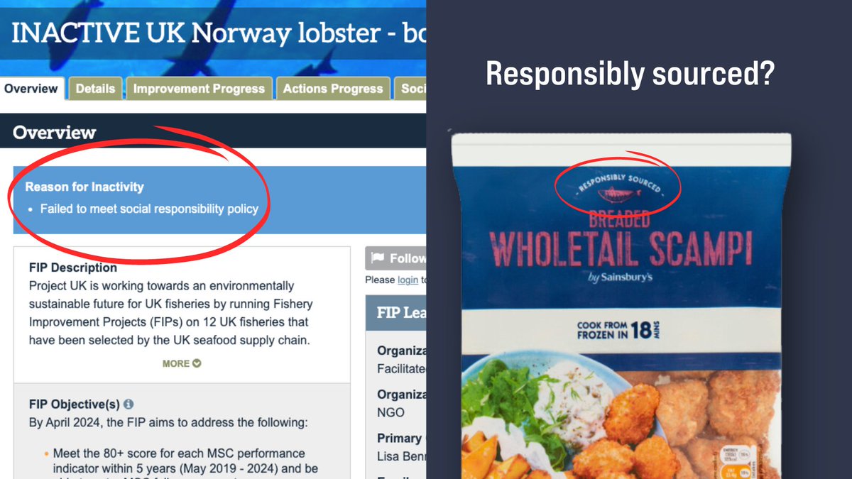 ❗ WARNING: The #scampi industry's 'improvement project' is officially abandoned. Without this scheme in place retailers cannot claim this seafood is 'responsibly sourced' without breaching their codes of conduct Tell UK supermarkets to #SayNoToScampi bit.ly/49H7I9k