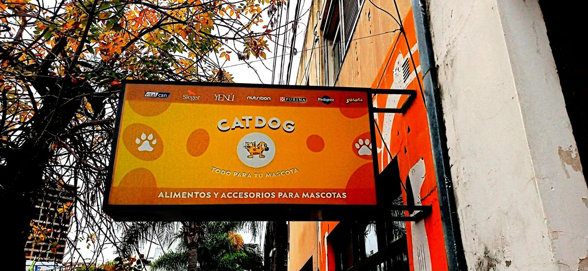 Mientras estaba paseando, volviendo de Almirante Brown, encontré este cartel sobre un lugar de alimentos para mascotas llamado CatDog, con los personajes dichos de Nickelodeon.
#CatDog