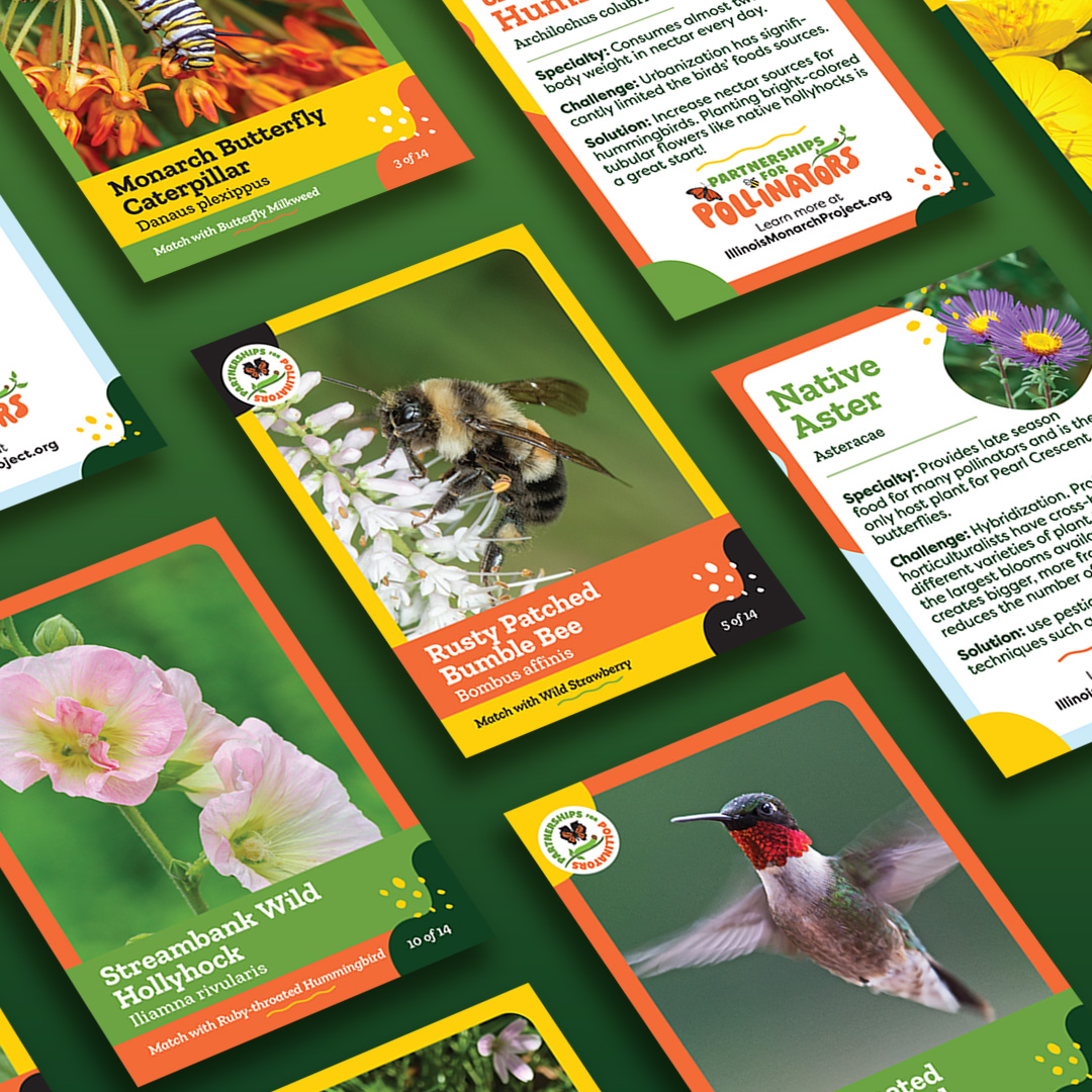 ✨ Exciting News! ✨ Get ready for our Pollinator Patrol Cards! 🐝🐝#PollinatorPatrol #MonarchConference

More info here- instagram.com/p/C6Wv_v4Oy5_/

#NativePlants #Pollinators #PledgePlantPost #ILMonarchProject #MonarchButterfly #SavetheMonarch #MonarchConference