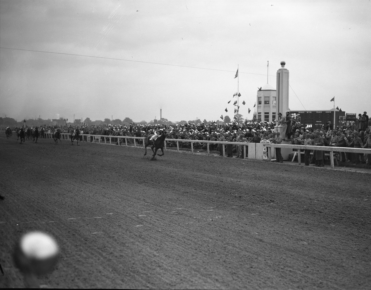 The record for the largest margin of victory in the #KyDerby is 8️⃣ lengths, a feat tied by four horses: • Assault - 1946 • Whirlaway - 1941 • Johnstown - 1939 • Old Rosebud - 1914