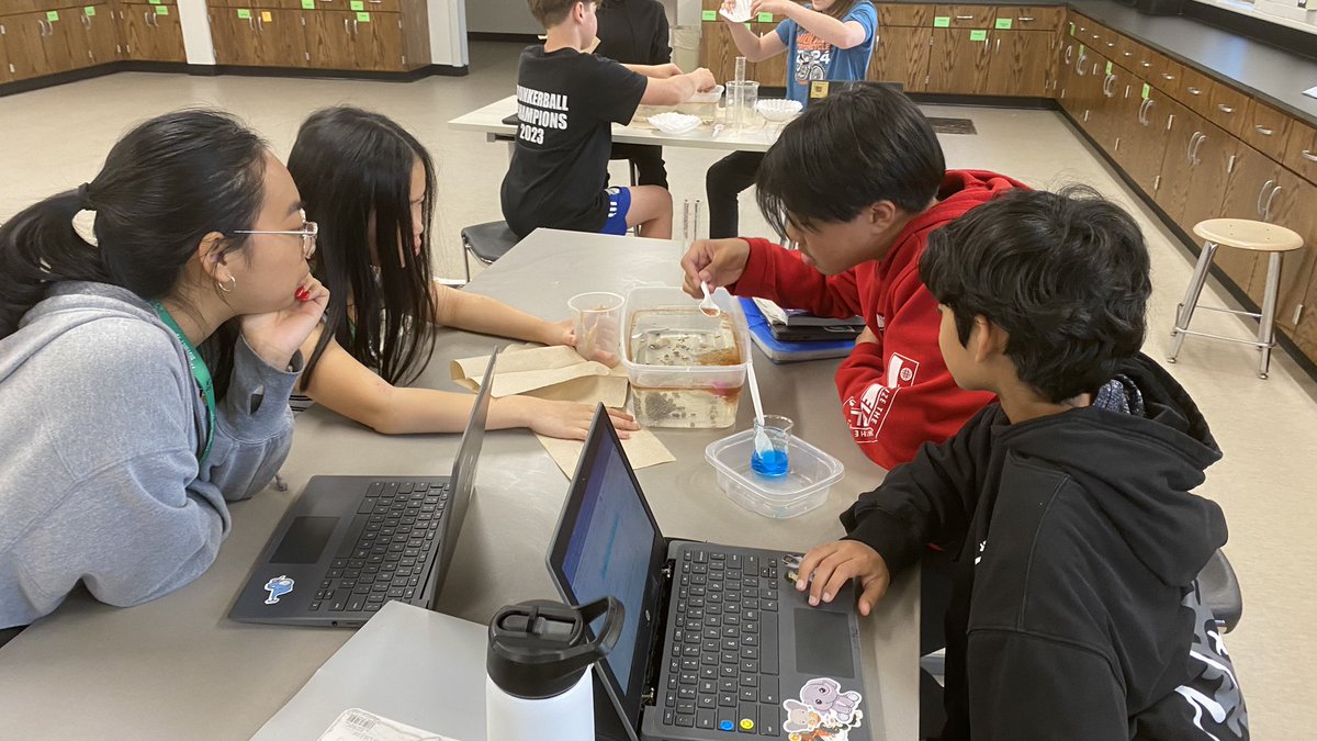 Jenny Che tweet media