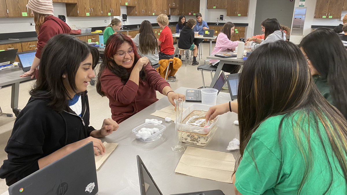 Jenny Che tweet media