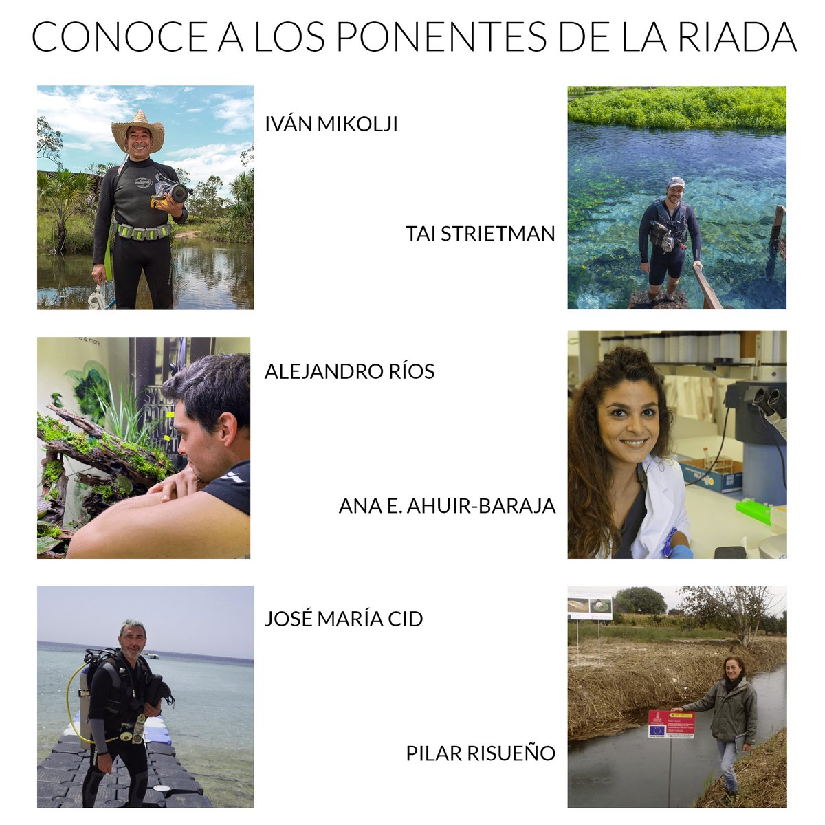Mikolji (@mikolji) on Twitter photo Nos vemos en persona el 9 y 10 de noviembre, 2024 en el aquarium <a href="/Oceanografic_vl/">Oceanogràfic València</a> Valencia, España
oceanografic.org/riada/
#OceanogràficValencia #Oceanogràfic #Valencia #Oceanografic #Aquarium #Acuario #Conservación #España #Aquariumdevalencia #Acuariodevalencia #Oceanografic Nos vemos en persona el 9 y 10 de noviembre, 2024 en el aquarium <a href="/Oceanografic_vl/">Oceanogràfic València</a> Valencia, España
oceanografic.org/riada/
#OceanogràficValencia #Oceanogràfic #Valencia #Oceanografic #Aquarium #Acuario #Conservación #España #Aquariumdevalencia #Acuariodevalencia #Oceanografic