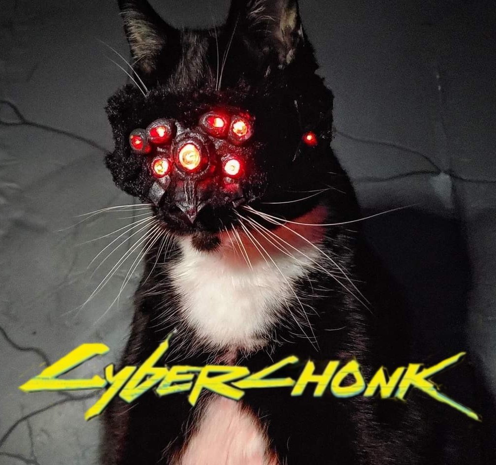 Meowlstrom Gang #Cyberpunk2077