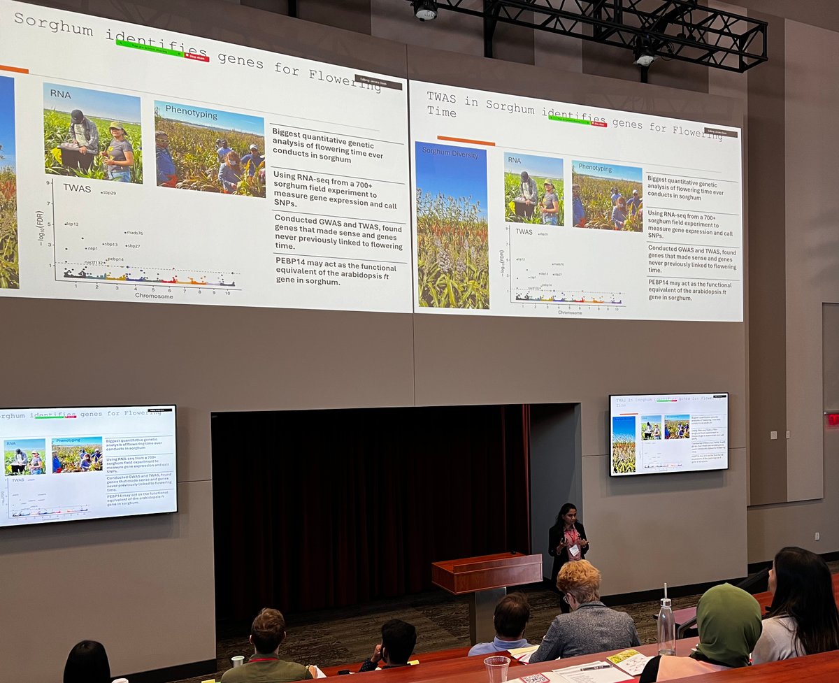 Amany Gomaa (@AmanyAteaa) and Harshita Mangal (@Harshita17_) representing our lab at the 2024 Nebraska Plant Science Symposium. Nicely done, both of you!