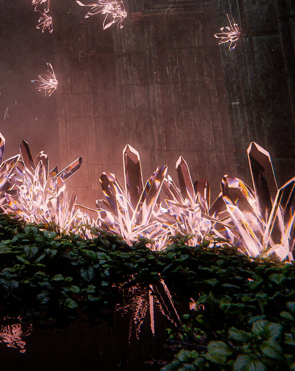 CollinSmit's tweet image. forgot to post this one here