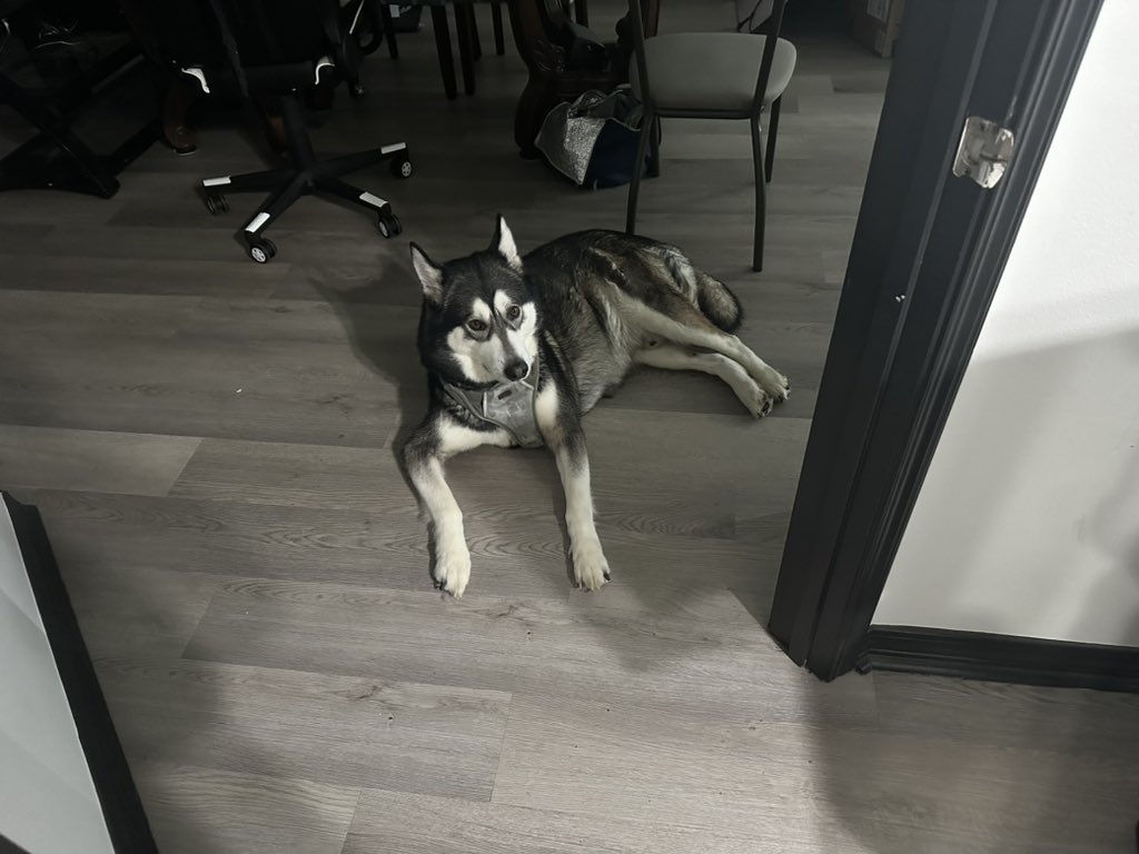 kegzytv's tweet photo. @Snowmixy https://t.co/mXAcTHmE6k