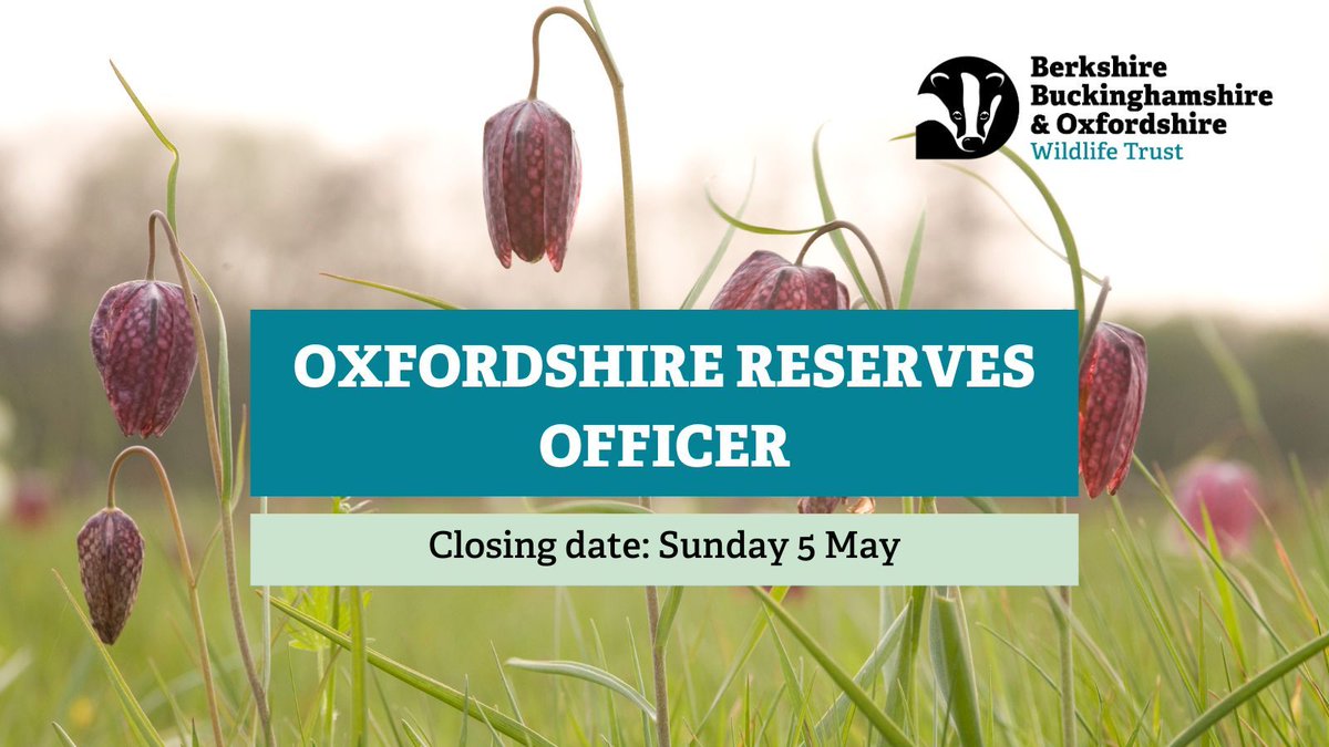 We're recruiting. 

The Oxfordshire Reserves Officer will help nature recover by directly working towards habitat management objectives across a suite of reserves, many are designated SSSIs. 

Full details and how to apply here: bbowt.org.uk/jobs/oxfordshi…