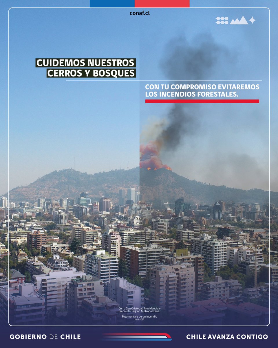 ⚠️Una pequeña acción puede generar grandes consecuencias. Evita acciones de riesgo que puedan provocar un incendio🔥🌳 y ante una emergencia forestal llama al 📲130 #CONAF.