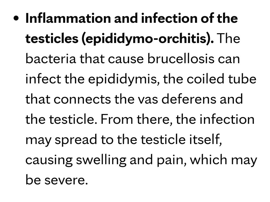 Of all the dangers of consuming raw milk products, #Brucellosis infection can be one of the most brutal. As a wonderful vet once explained to me on the road to the dairy research facility in Tulare, 'Gonads the size of canteloups.' So, before you attack @DrEricDing or myself for