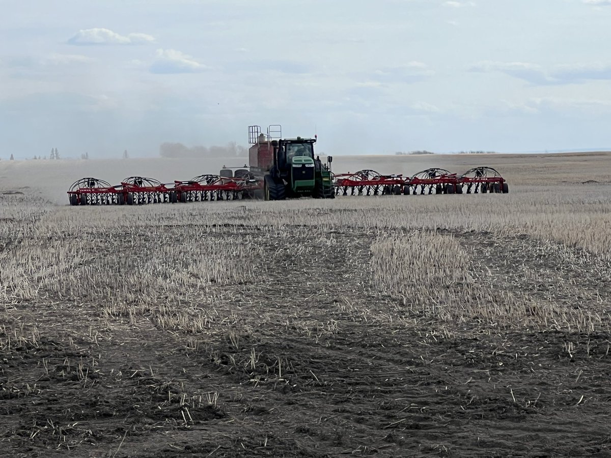 Randi Kuriga tweet media