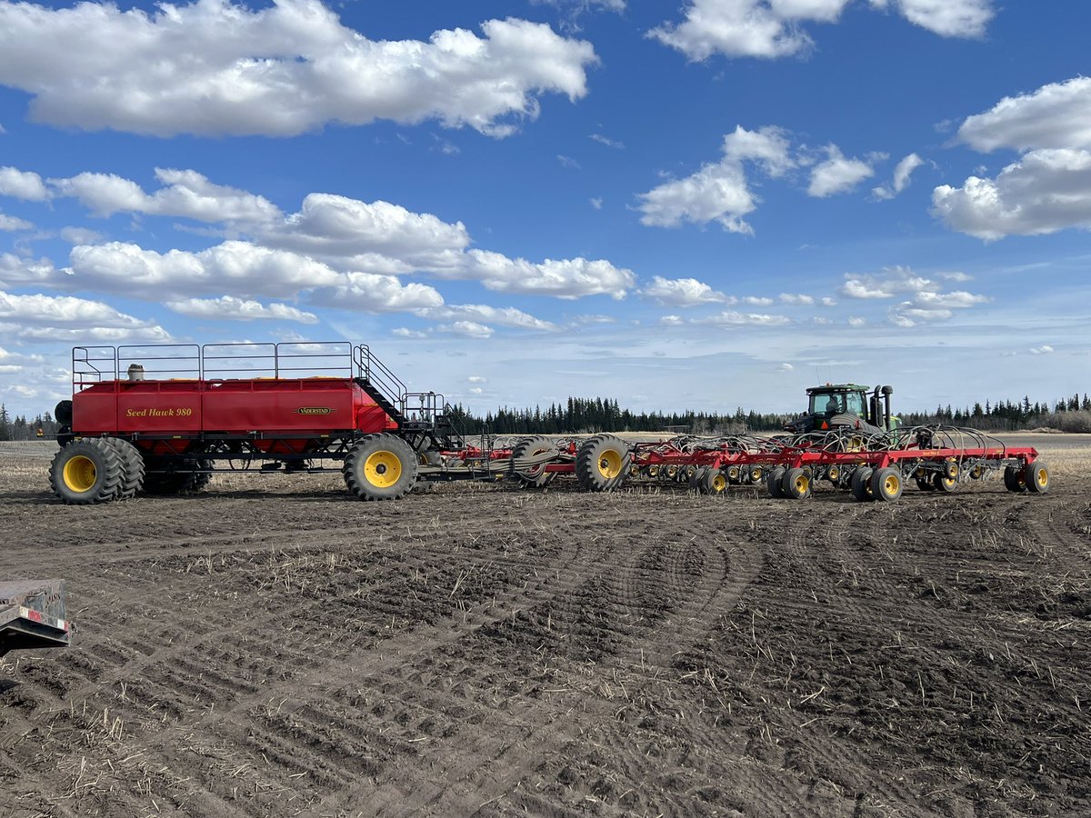 Randi Kuriga tweet media