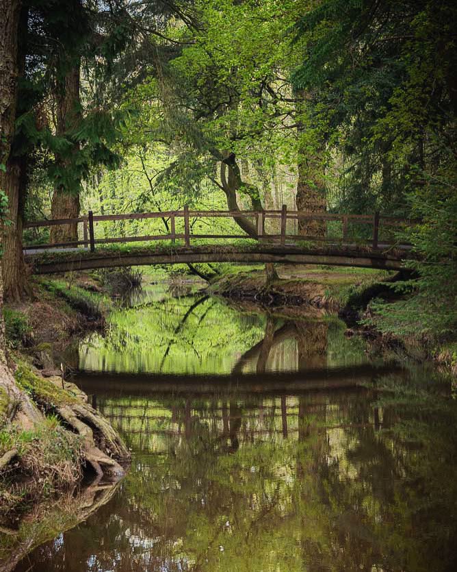 BeachBramble's tweet photo. Can’t get enough of this little bridge
#NaturePhotography
#bbcearth #bbcweather #newforest #bbcweatherwatchers #bbcsouth https://t.co/SlGTDdRnKJ