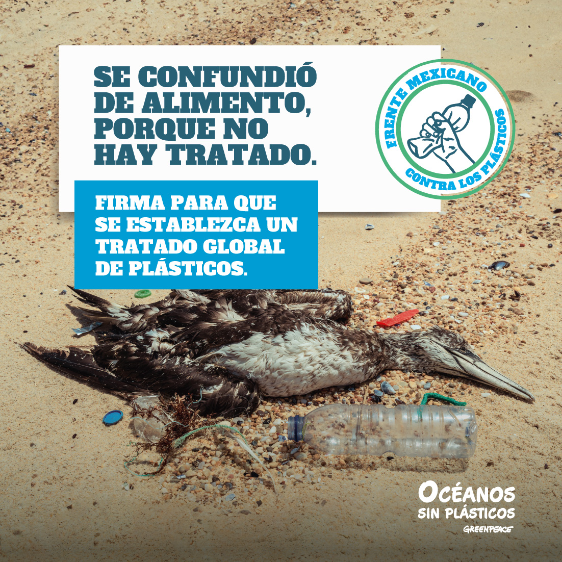 🦤 ¡Miles de especies están en peligro por los plásticos de un solo uso! 🚨 Muchos quedan atrapados o ingieren plásticos,😥 ¡No podemos permitirlo! ¡Necesitamos un Tratado Global de Plásticos ambicioso para protegerlos! 🌊💪 ¡Firma la petición! ✍️ act.gp/3Qp7hcy