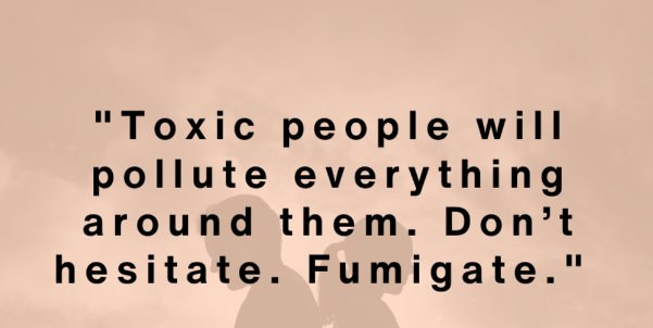 Fumigate  #toxicpeople
🖤🖤👇👇👇💯💯😌